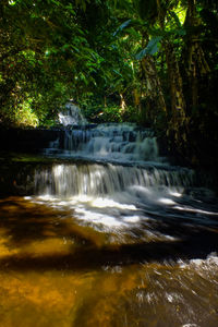 Waterfall in forest