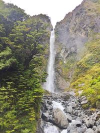 Scenic view of waterfall in forest