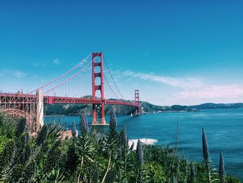 Suspension bridge against blue sky