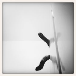 Close-up of woman in bikini