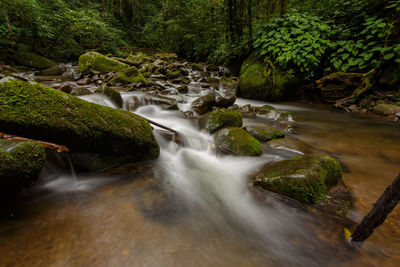 Stream flowing through rocks in forest