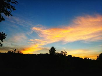 Low angle view of silhouette trees against sky during sunset