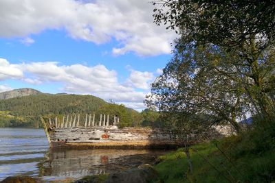 Scenic view of plants and trees against sky