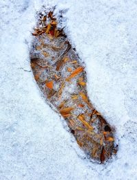 High angle view of frozen leaf during winter