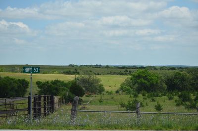 Scenic view of field against sky