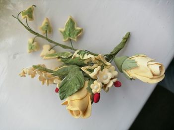 High angle view of white roses on plant