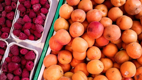 High angle view of raspberries and apricots for sale in market
