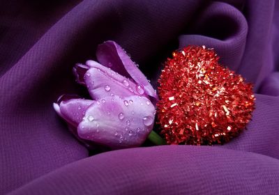 Close-up of wet purple flower with red heart shape on fabric