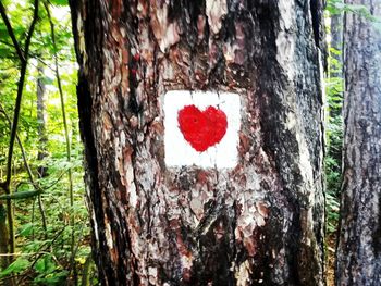 Close-up of heart shape on tree trunk in forest