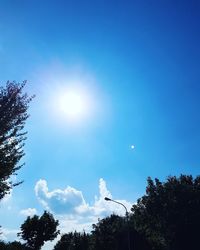 Low angle view of trees against blue sky