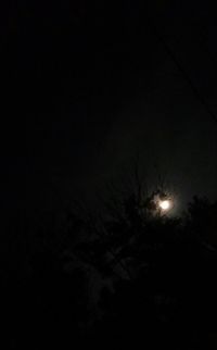 Low angle view of silhouette trees against sky at night