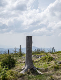 Wooden posts on field against sky