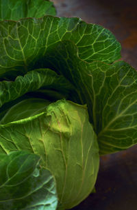 Close-up of green leaves on plant