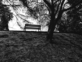 Empty bench in park