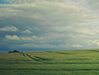 Scenic view of agricultural field against sky