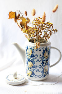 Close-up of potted plant on table