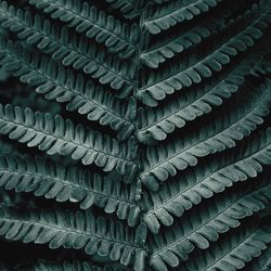 Full frame shot of roof tiles