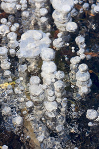 Full frame shot of stones in sea