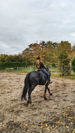 Woman riding a horse 