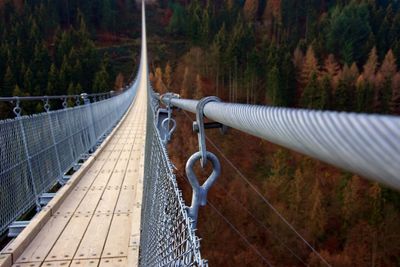 View of footbridge in forest