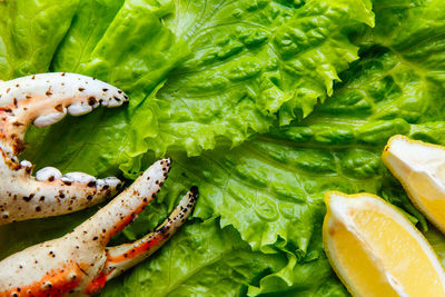 Close-up of crab claw with lettuce in plate