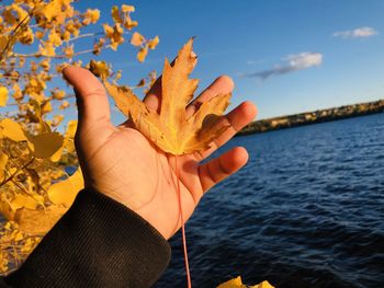 Close-up of hand holding maple leaf against lake