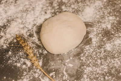 High angle view of eggs on table