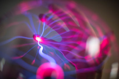 Close-up of pink flower at night