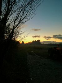 Scenic view of field against sky during sunset