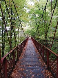 Footbridge amidst trees in forest