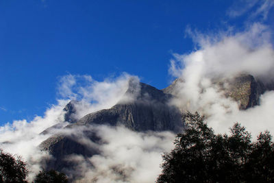Low angle view of trees against cloudy sky