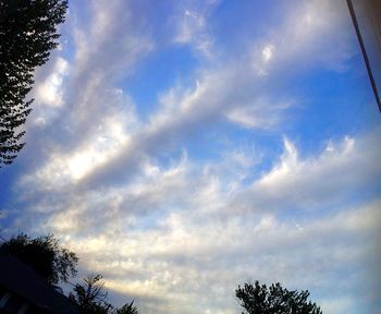 Low angle view of trees against cloudy sky