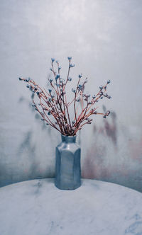 Close-up of flowers in vase on table against wall