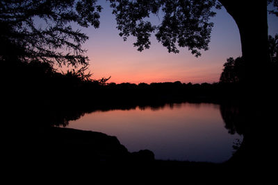Silhouette trees by lake against sky during sunset