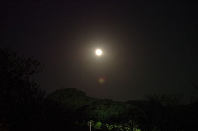 Low angle view of silhouette trees against sky at night
