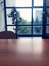 Potted plants on table by window