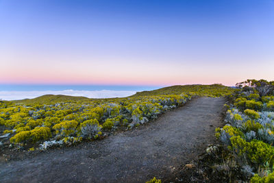 Hiking trail at volcanic area of reunion island