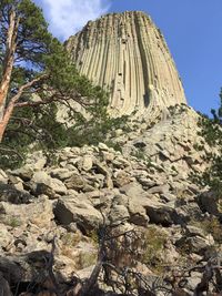 Low angle view of rock formation amidst trees against sky