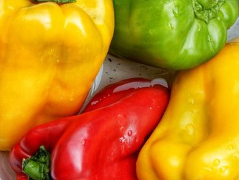 Close-up of yellow  ref and green bell peppers