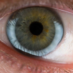 Close-up of human eye