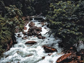 Stream flowing through rocks in forest