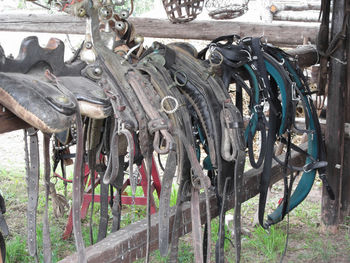 Close-up of clothes hanging on clothesline