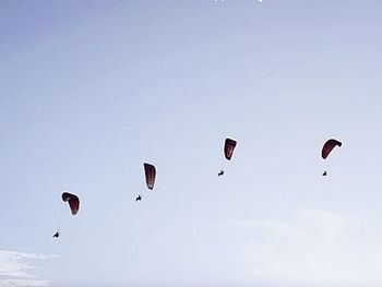 Low angle view of hot air balloons