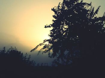 Low angle view of silhouette trees against sky at sunset