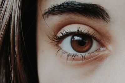 Extreme close up of human eye