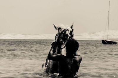 View of dog on boat in sea