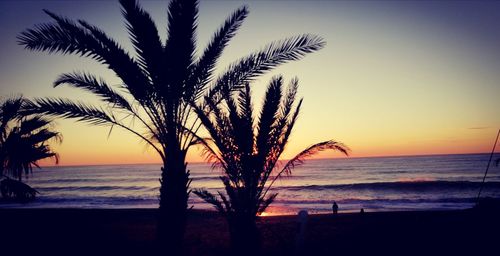 Silhouette palm tree on beach against clear sky at sunset