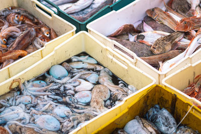 seafood