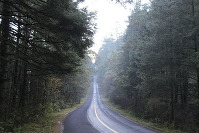 Road amidst trees in forest