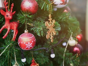 Close-up of christmas decorations hanging on tree